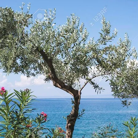 Liparis 3 Agritourism & Mediterranean Cuisine , Holiday, Aquapark , Beach * إردملي